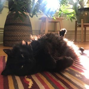 Meet your Posher, Catherine